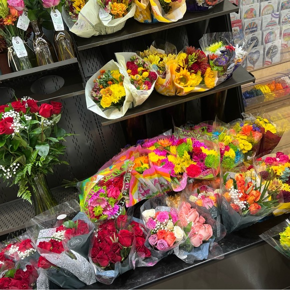 Meet your Posher, Bella - Picture 1 of 1